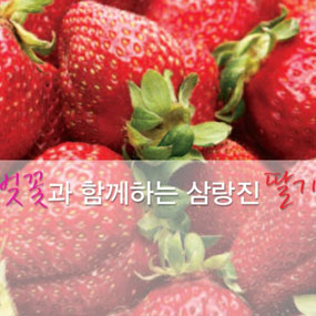 삼랑진 딸기 한마당 대축제 여행정보 상세소개