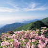 소백산 국립공원여행정보 http://www.travelkor.com
